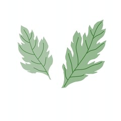よもぎの葉っぱ