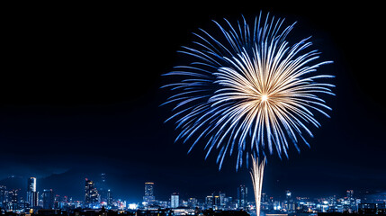 Fireworks display over city skyline at night