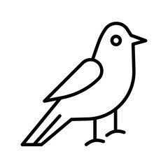 Canary Vector Icon