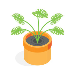 An eye catching isometric icon of a plant in a decorative, square planter.