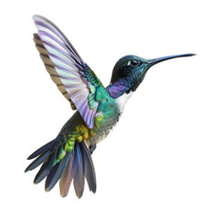 Obraz premium Close-up of a vibrant hummingbird in mid-flight, showcasing its colorful feathers and delicate form against a white background.
