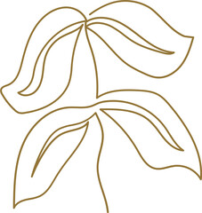 Modern Botanical Leaf Illustration for Decoration