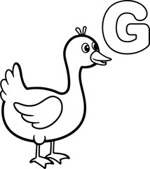  Vector coloring book alphabet with capital letters G for Goose illustration 