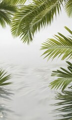 Coconut palm tree's leaves and branches on a white background in a shallow pool of water , leaves, palm trees, reflection