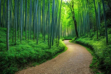 Fototapete Dense bamboo forest with a winding path leading deeper into the greenery, under a soft, dappled light filtering through the tall stalks, creating a serene and peaceful atmosphere. © Gsu