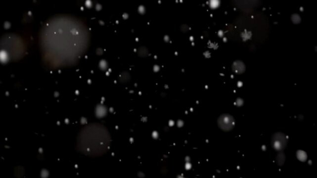 snow drops on black background