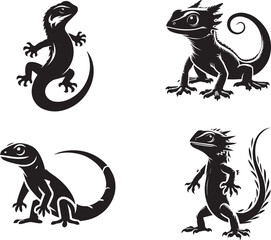 silhouette of Gizmo lizard isolated on white background