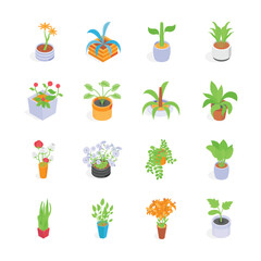 Well designed indoor plants isometric icons set in modern style