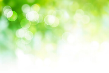 Obraz premium Green abstract bokeh background blur, holiday wallpaper