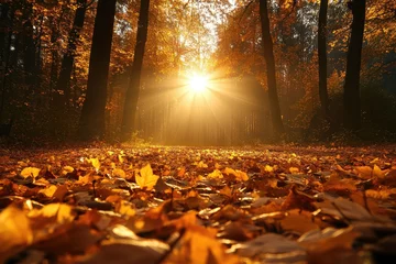 Fototapete Golden hour in a sun-dappled autumn forest, with the light filtering through the leaves, casting a warm glow on the forest floor, creating a peaceful and serene autumn scene. © Gsu
