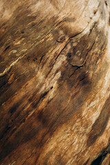 wood texture