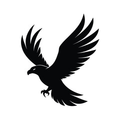 eagle in flight vector illustration