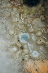 Macro photo of mold. Mold on soup close up. light abstraction