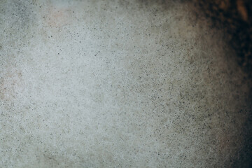 Macro photo of mold. Mold on soup close up. light abstraction