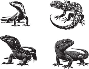 silhouette of Echo lizard isolated on white background