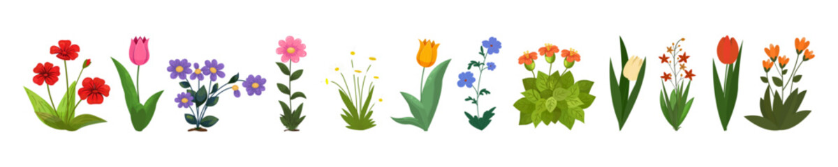 Collection of wild and garden herbs, flowering plants, blooming flowers isolated on transparent background. Poppies, tulips, lilies, chamomile and others.
Cartoon flat vector illustration