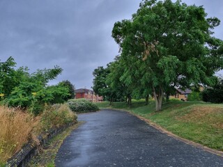 road in the park with clouds