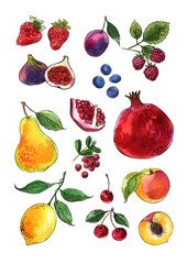 Fruits and berries in watercolor on a white background. Watercolor, ink. Farm products. Healthy eating.
