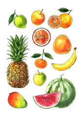 Fruits and berries in watercolor on a white background. Watercolor, ink. Farm products. Healthy eating.