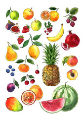 Fruits and berries in watercolor on a white background. Watercolor, ink. Farm products. Healthy eating.