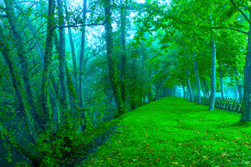 g&oacute;is/portugal