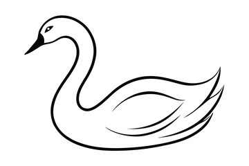 black swan whrite background