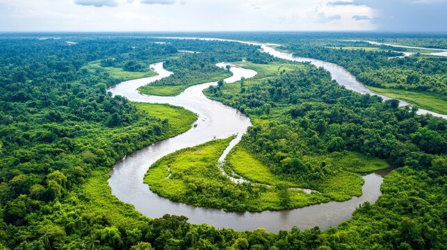 A stunning aerial shot captures a beautiful winding river that is beautifully surrounded by lush, vibrant rainforest