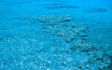tropic south sea water clean idyllic beautiful nature background summer vacation concept blue colors