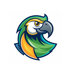 image of a parrot on white background