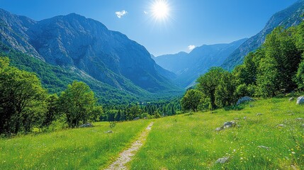 Fototapeta premium Sunny Mountain Valley Trail Leads Through Lush Green Meadow