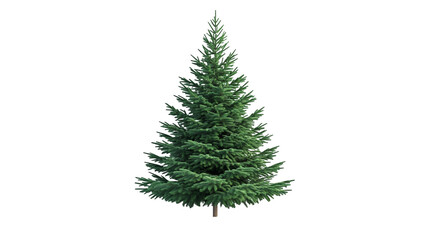A green Christmas tree without any decoration  isolated on a transparent background