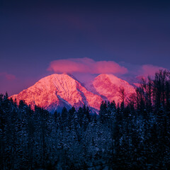 A snowy peaks in the pink sunset