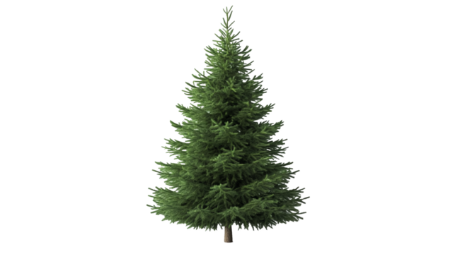 A green Christmas tree without any decoration  isolated on a transparent background