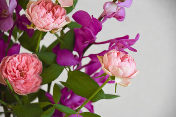 薔薇とアランダ