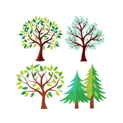 Fototapeta premium set of four trees vector