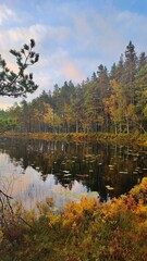 Hiking in the old Spruce Forests in Sweden and sleeping in old charcoal huts in "Kolarbyn" in the woods