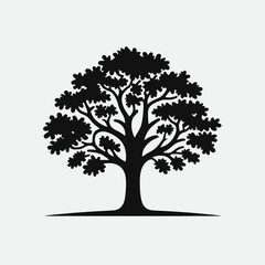 Oak Tree silhouette in black on a white background