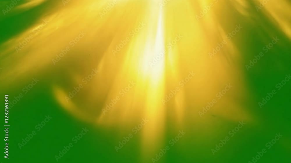 Canvas Prints golden hour rays: abstract image of sunlight streaming through a verdant, shadowy space, creating a 