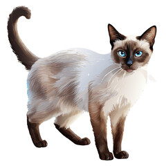 Siamese cat with bright blue eyes and dark markings, standing full body on a white background, elegant and graceful domestic pet