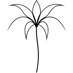 black and white flower