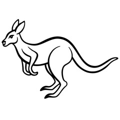 kangaroo illustration