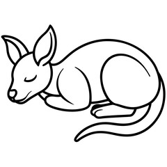 kangaroo illustration
