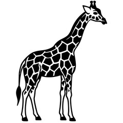 giraffe vector illustration