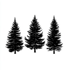 Three Black Silhouettes of Evergreen Trees