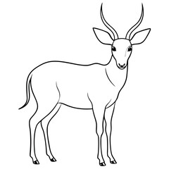 Obraz premium silhouettes deer