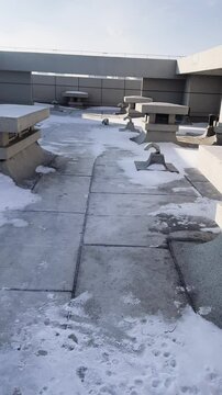 Two small, white dogs, Bichon Frise dressed in matching gray outfits, playing on a snowy surface on roof top with a yellow ball with owner outside 