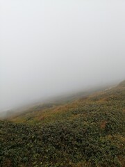 Майже на горі