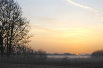 Landschaft,  Morgenstimmung, Pullinger Moos