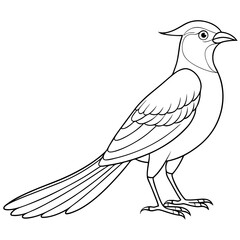 Naklejka premium bird on a branch