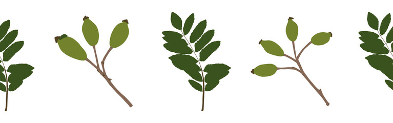 Green leaves border on a white background. Hand-drawn illustration. Perfect for spring and summer.